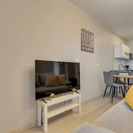 Mostek 246 - Grey & Flowers By Grand Appartement